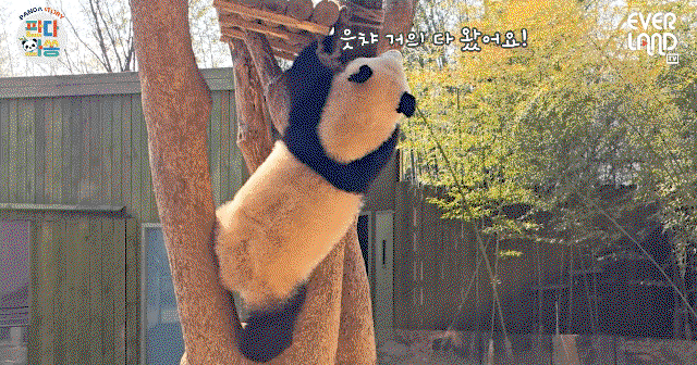 rGUaSt.gif