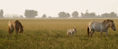 rHJYJW.gif