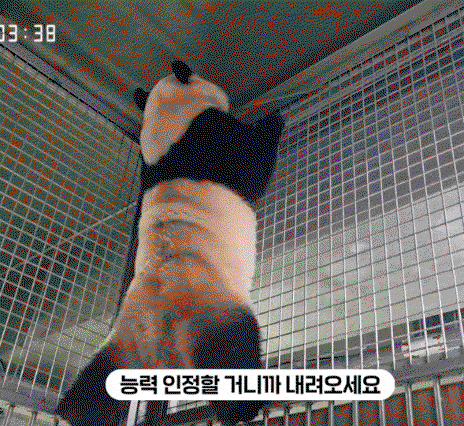 rIxind.gif