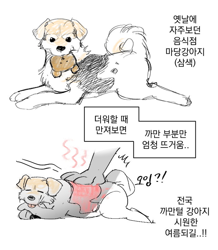 rLisPc