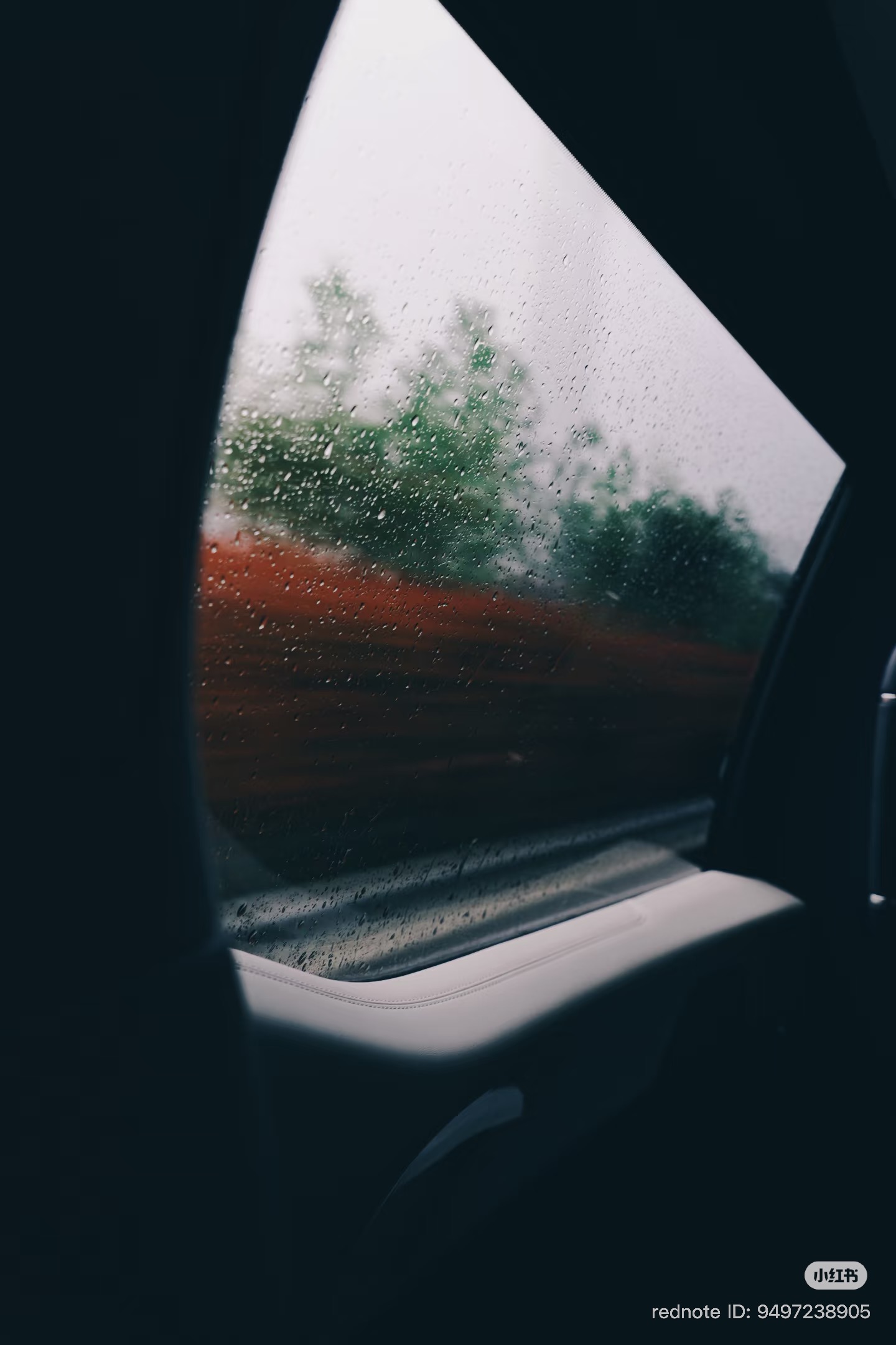 rMnvSy