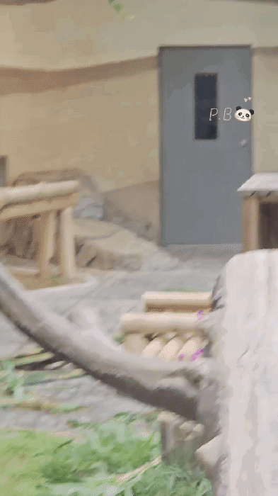 rMohJY.gif