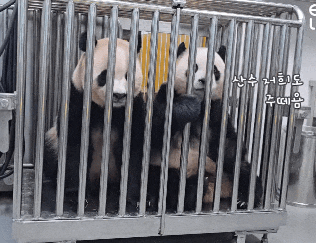 rOFAcr.gif
