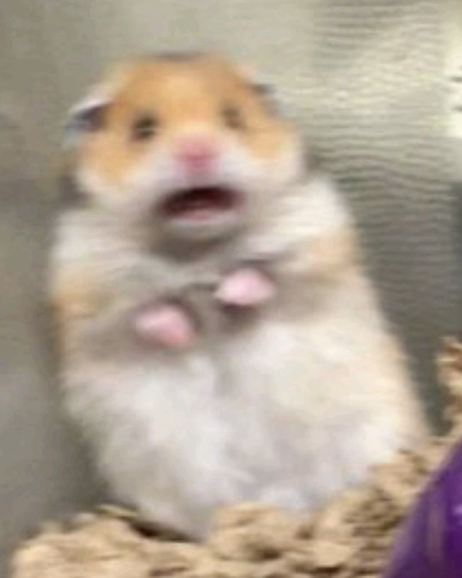 raprZM