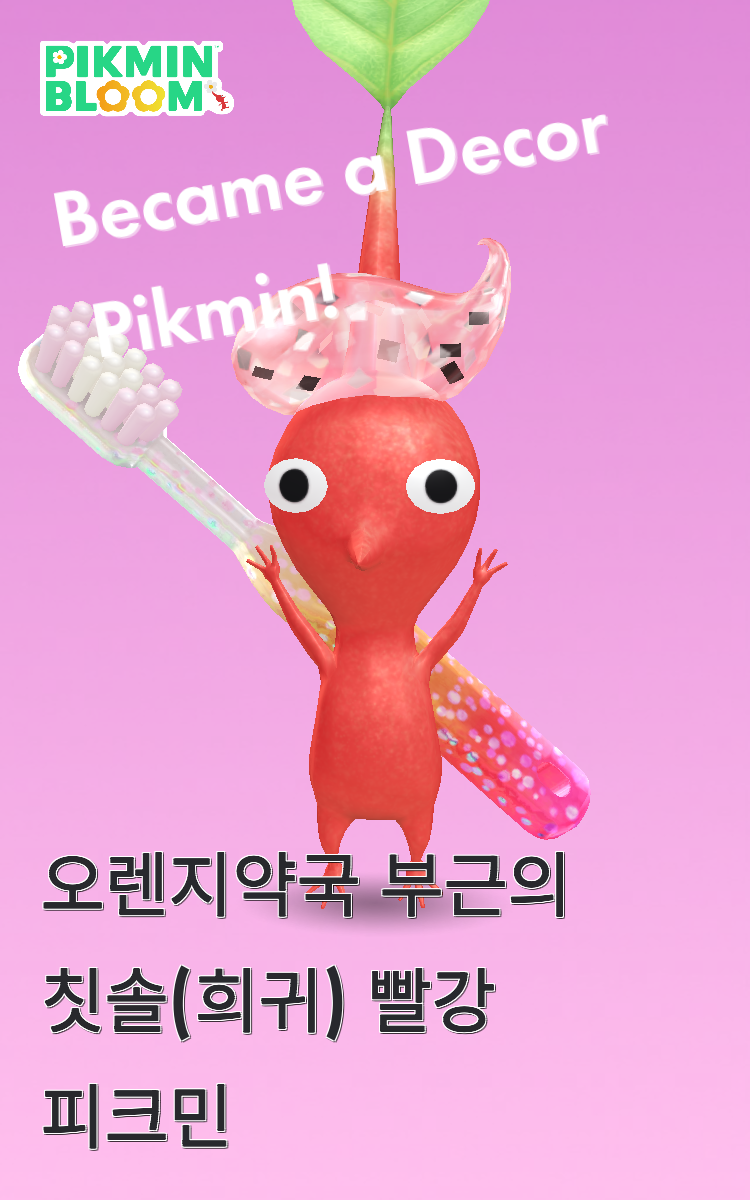 rbDpPo