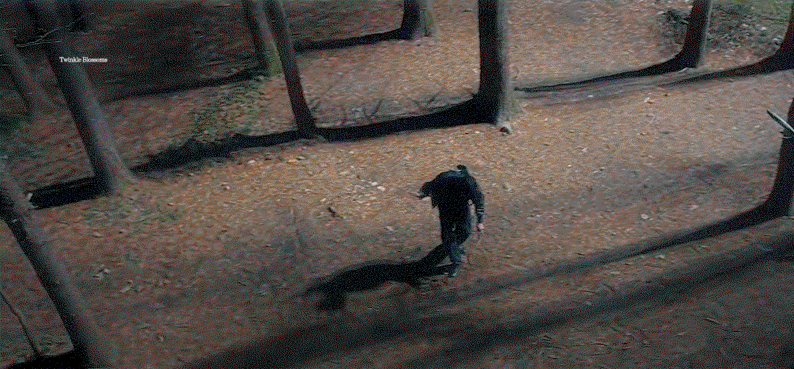 rbaxdK.gif