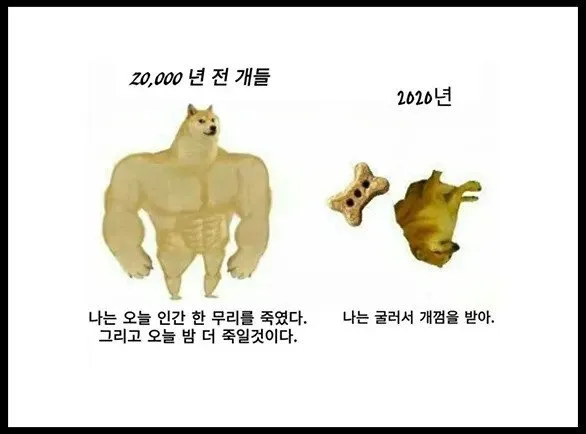 rbqyYd
