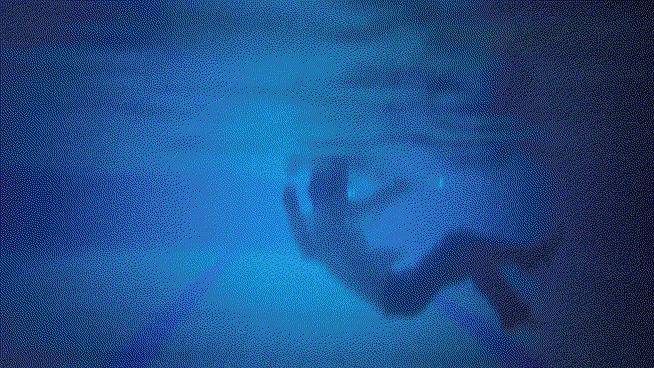 reMRVR.gif