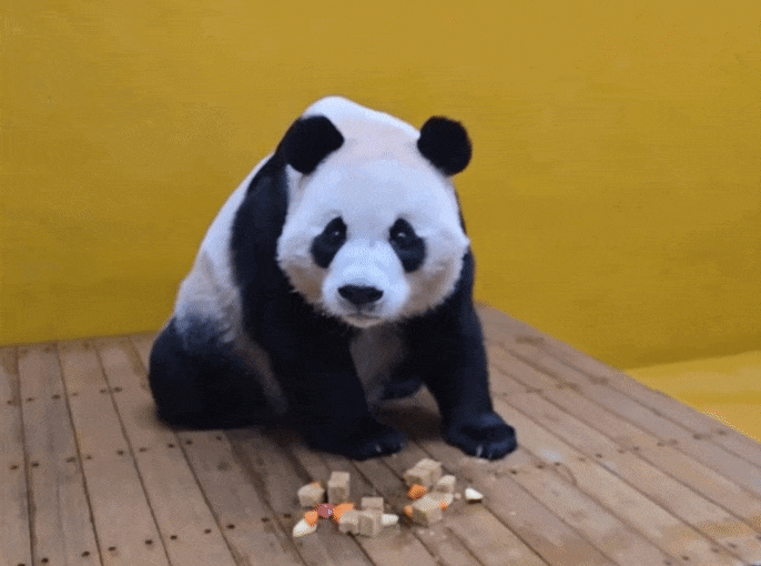 rfFAKl.gif
