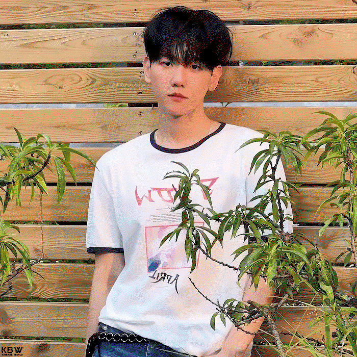 rfrVIy.gif