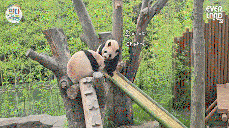 rfzQiu.gif