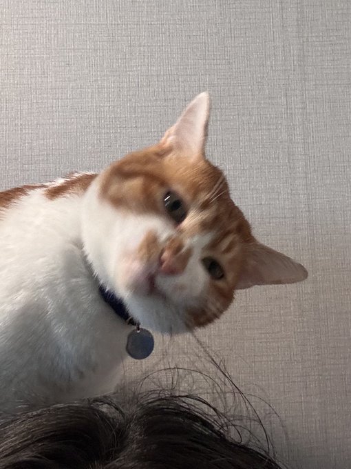rhPcuw