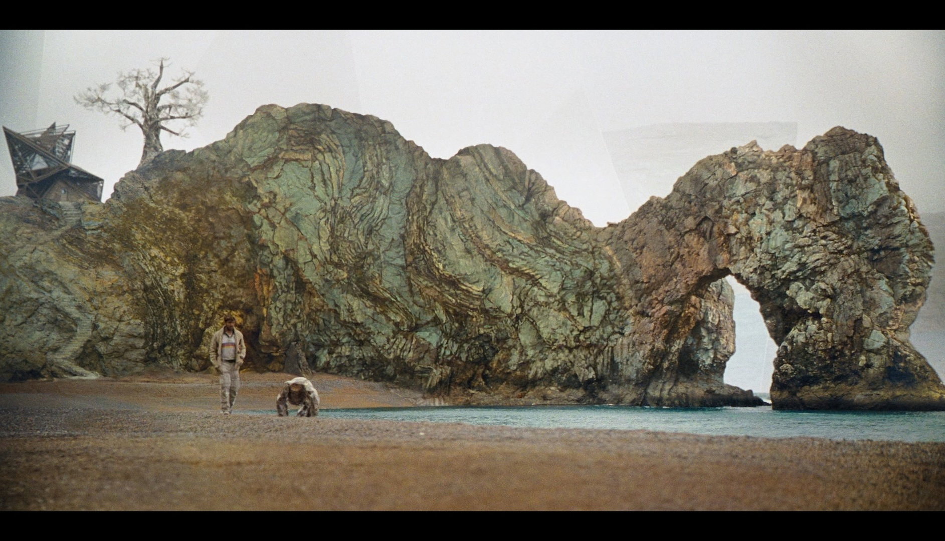 rjbIOL