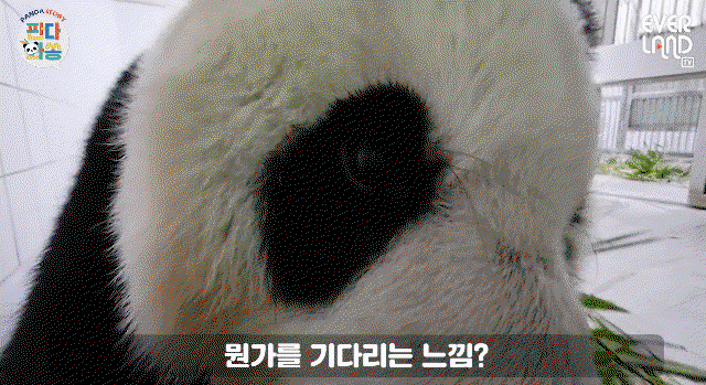 rkgHSv.gif