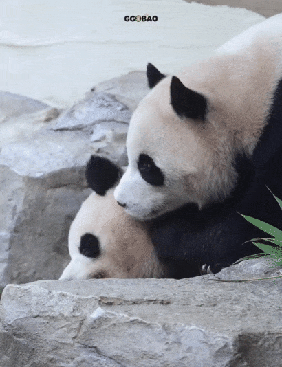 rkpkqI.gif