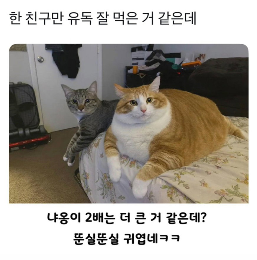 rlHwFw