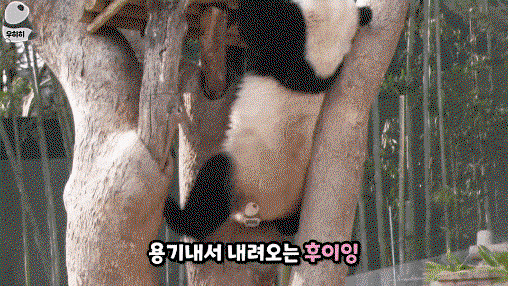rnuUZU.gif