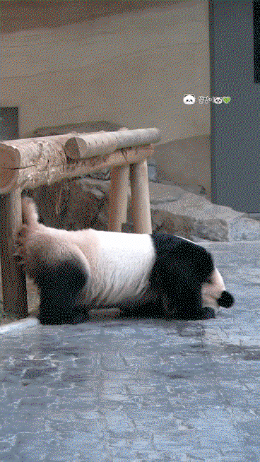 rotahK.gif