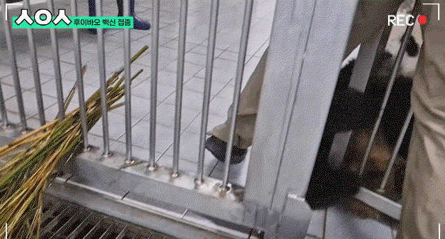 rsGQGk.gif