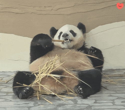 rsRCmV.gif
