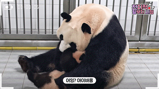 rsuGxj.gif