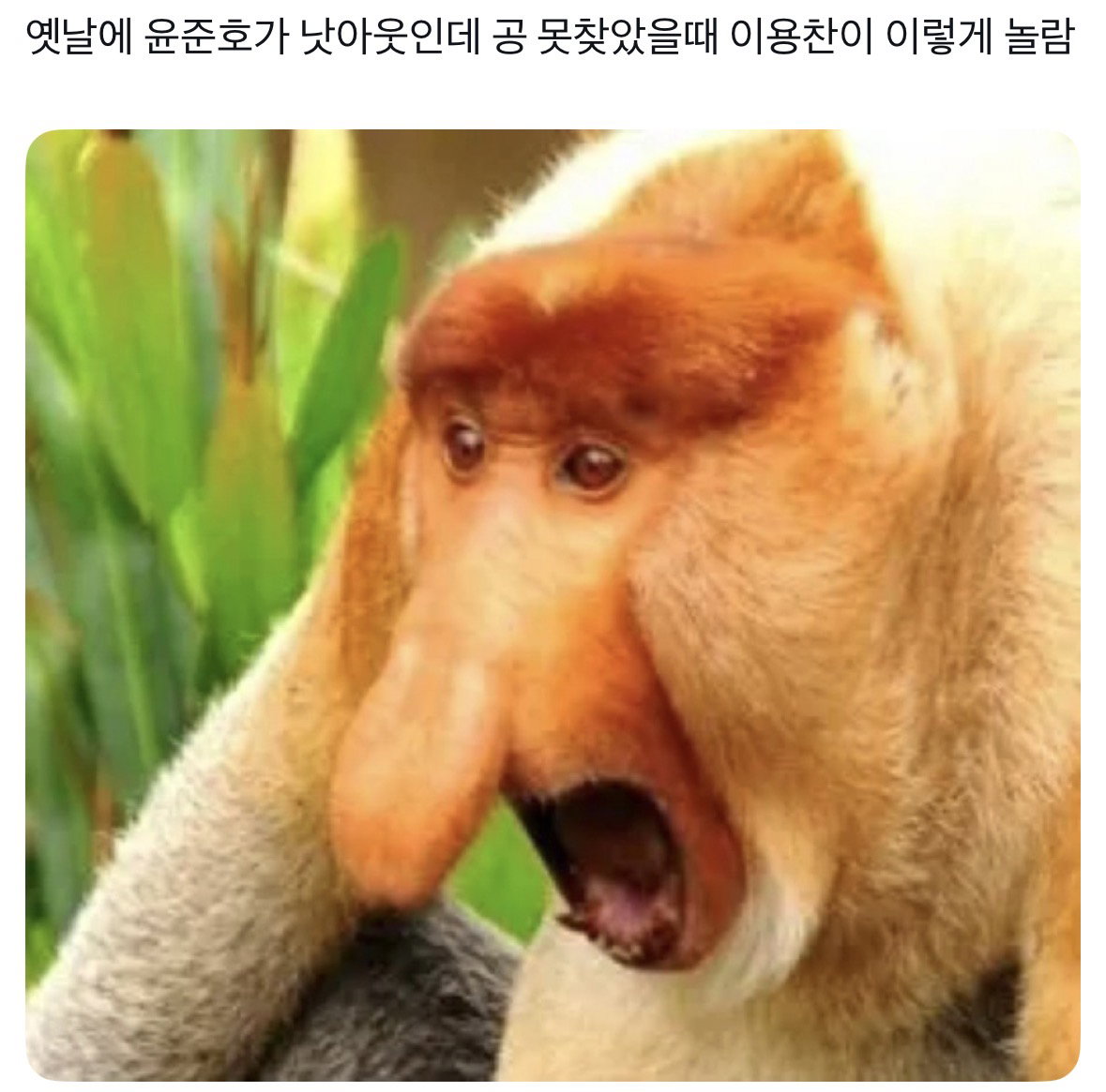 rtGgzw