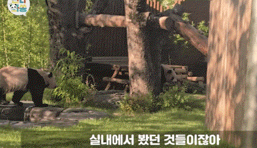 ruAhpa.gif