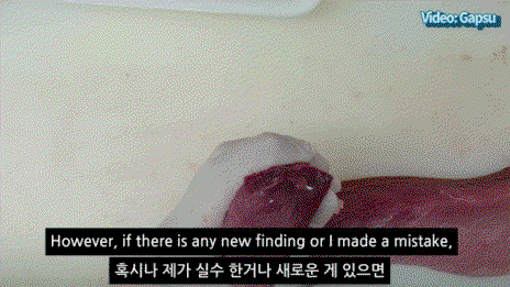 rvplkY.gif