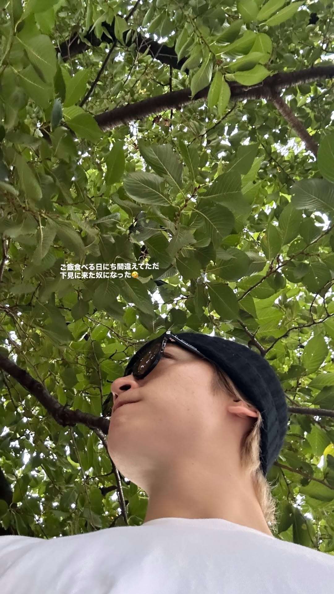rwpDlj