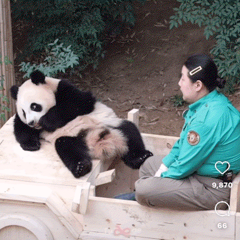 rxHQIy.gif