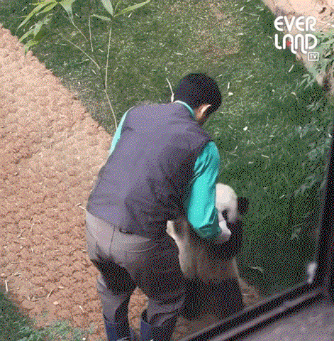 rxHdJY.gif