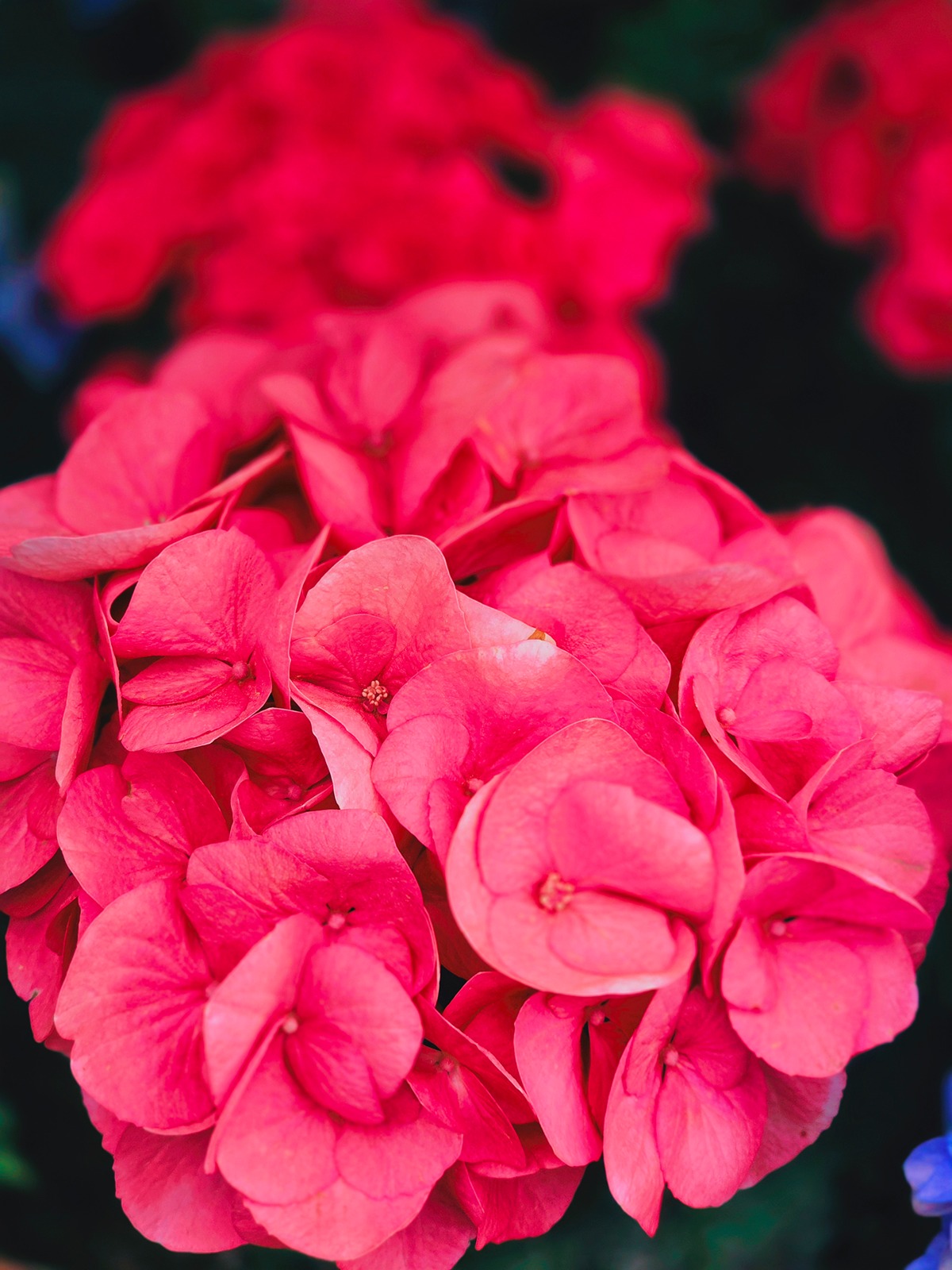 rxwxCb