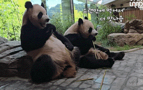 rxzzwG.gif
