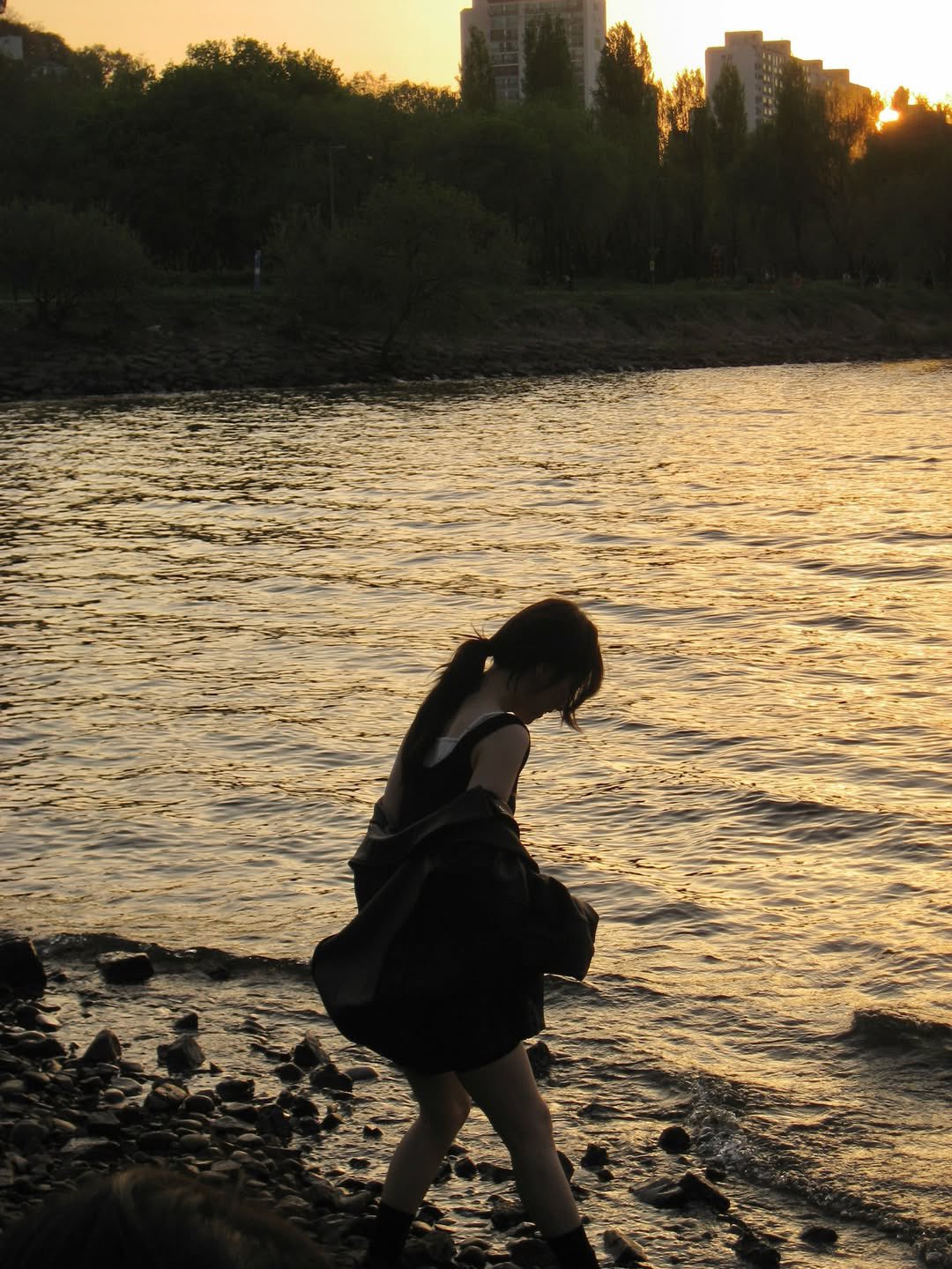 ryuFWX