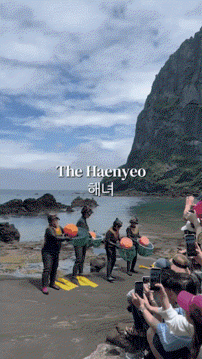 ryzYYU.gif