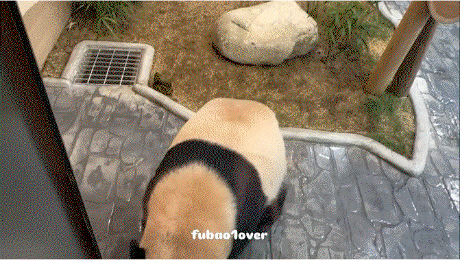 sAbqJk.gif
