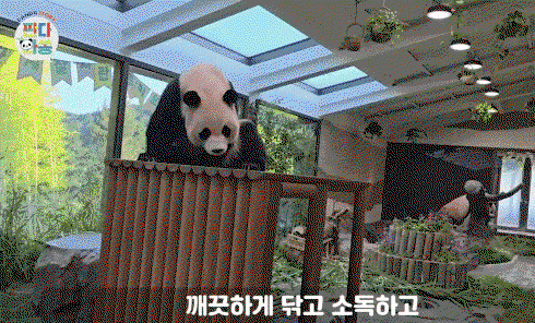 sBPtyP.gif