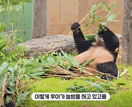 sBbrYG.gif