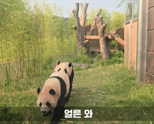 sBptmu.gif