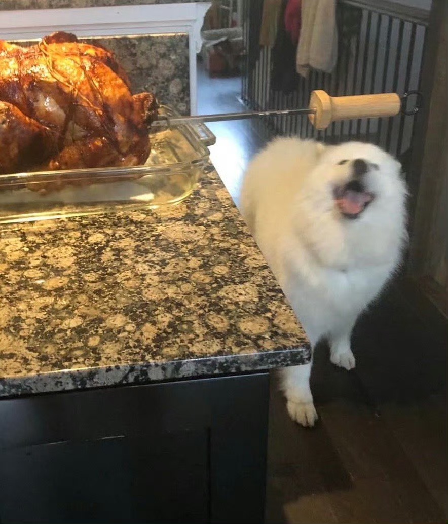sCwfqN