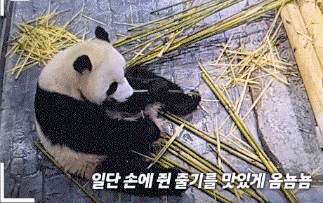 sDgoRd.gif