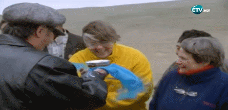 sGPhXD.gif