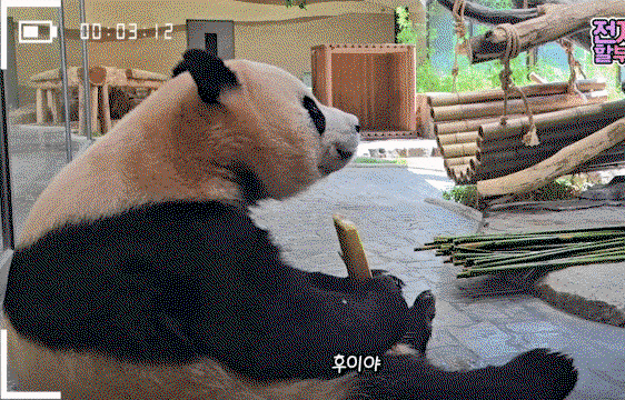 sGfyoq.gif