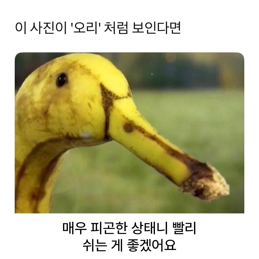 sGhLwj