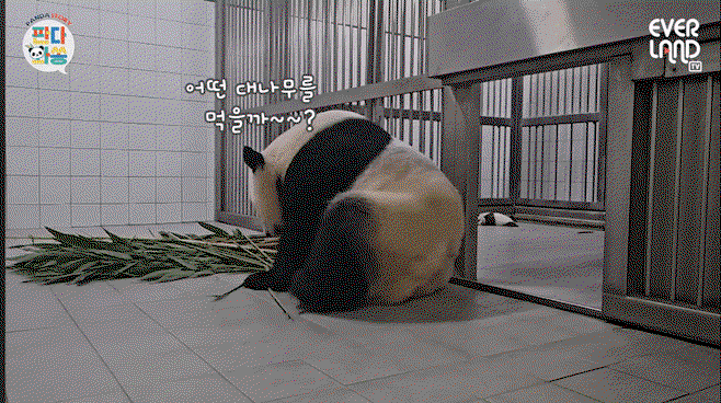 sHIkmN.gif