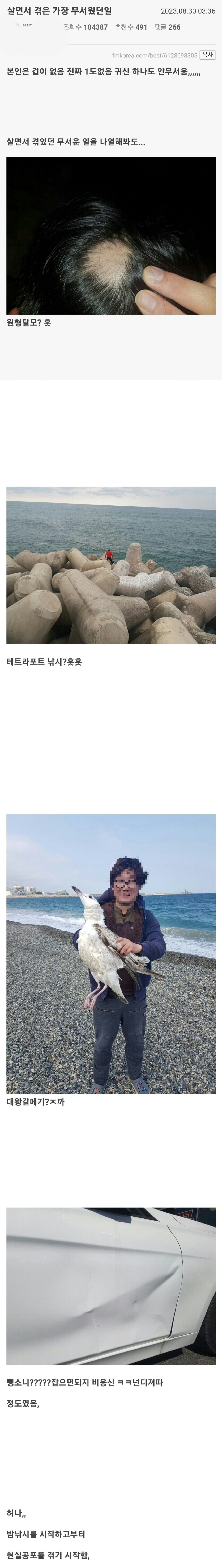 더쿠 - (놀람주의)살면서 겪은 가장 무서웠던 일...jpg