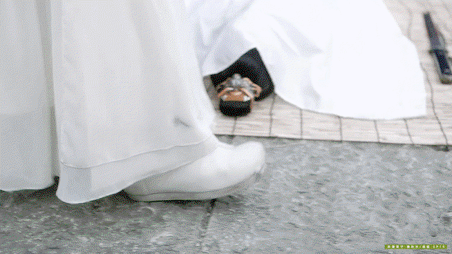 sHdSFN.gif