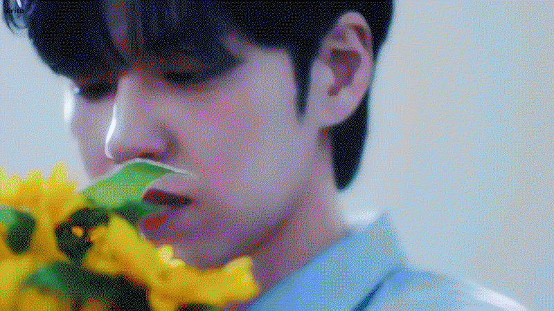 sJMJvB.gif