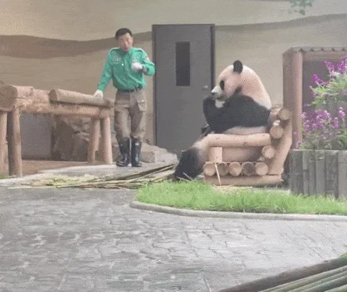 sJmXvW
