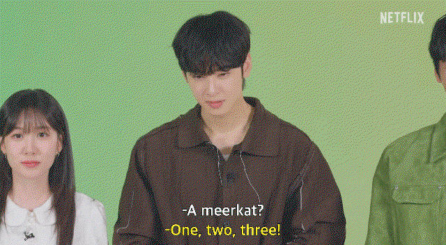 sMdCIu.gif